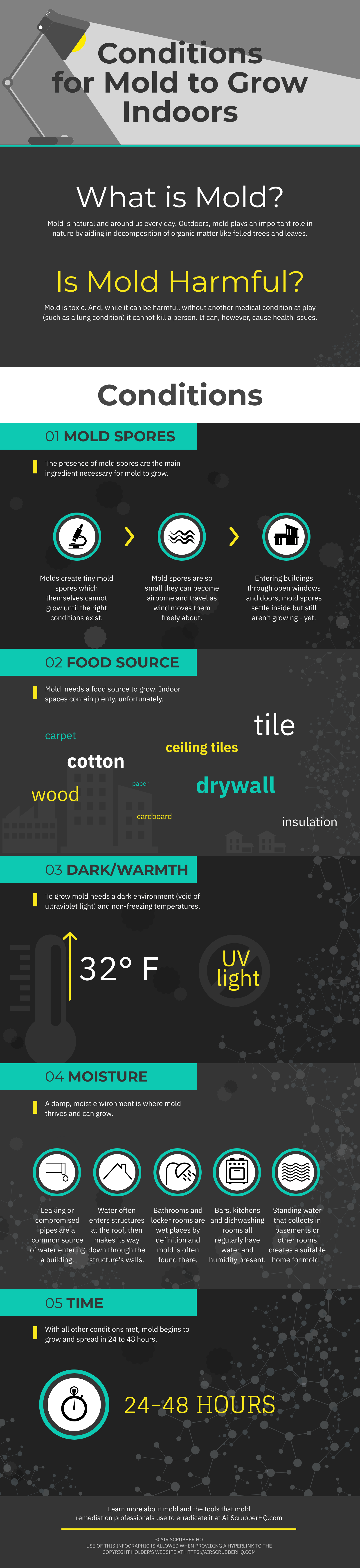 Conditions for Mold to Grow Indoors Info