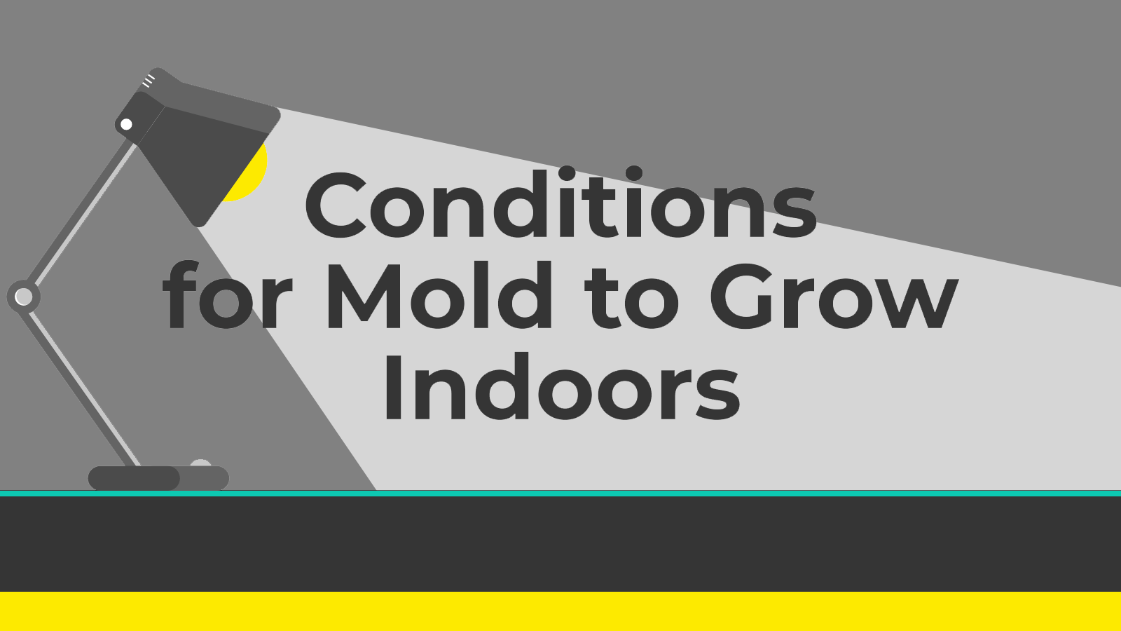 Conditions for Mold to Grow Indoors